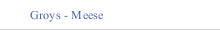 Groys - Meese